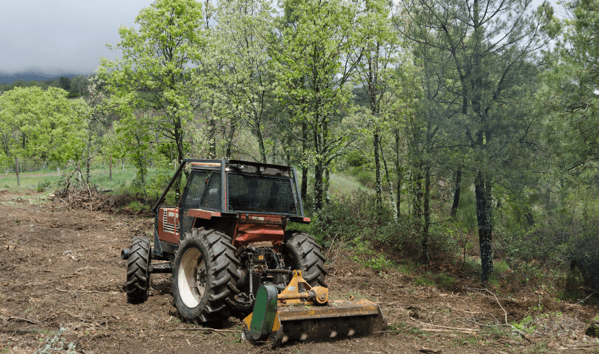 Land Clearing